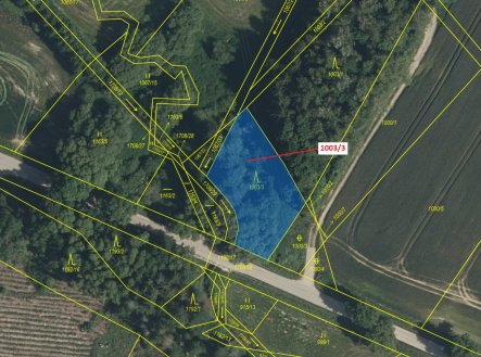 Prodej pozemku, les, 1 093 m²