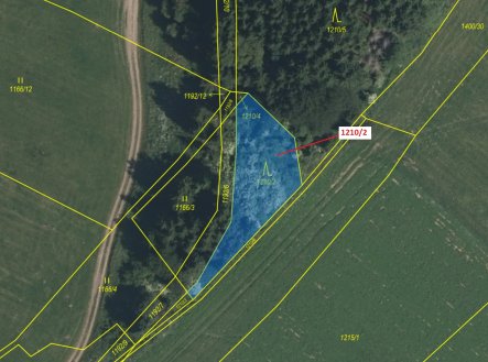 Prodej pozemku, les, 705 m²