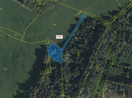 Prodej pozemku, les, 710 m²