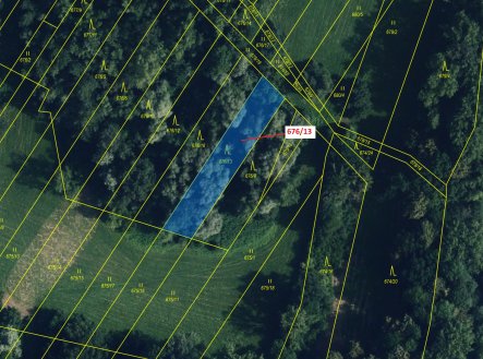 Prodej pozemku, les, 1 000 m²