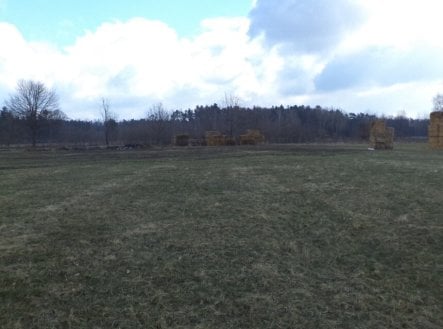 Prodej pozemku, trvalý travní porost, 608 m²