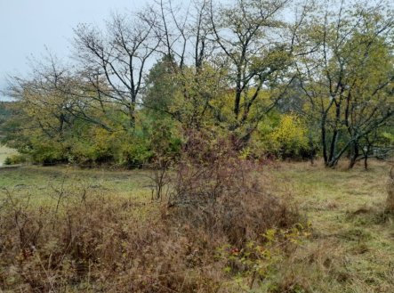 Prodej pozemku, ostatní, 4 183 m²