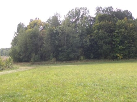 Prodej pozemku, trvalý travní porost, 5 912 m²