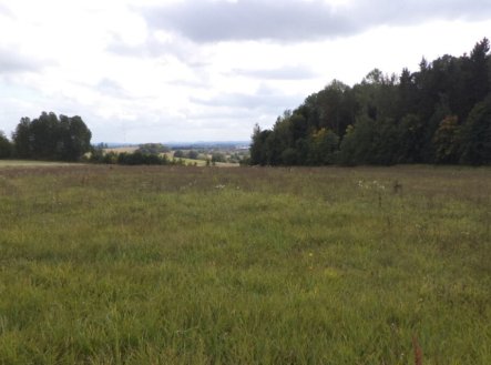 Prodej pozemku, trvalý travní porost, 5 912 m²