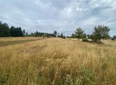 Prodej pozemku, trvalý travní porost, 3 408 m²