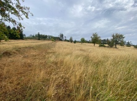 Prodej pozemku, trvalý travní porost, 3 408 m²