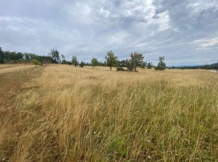 Prodej pozemku, trvalý travní porost, 3 408 m²