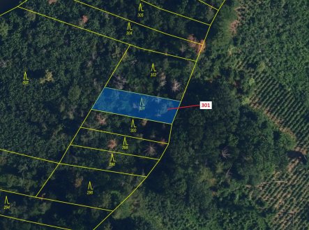 Prodej pozemku, les, 579 m²