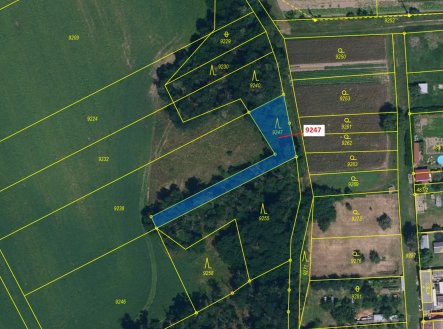 Prodej pozemku, les, 550 m²