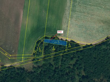 Prodej pozemku, les, 238 m²