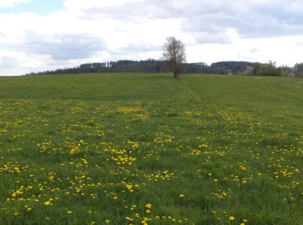 Prodej pozemku, trvalý travní porost, 10 063 m²