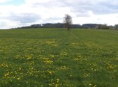 Prodej pozemku, trvalý travní porost, 10 063 m²