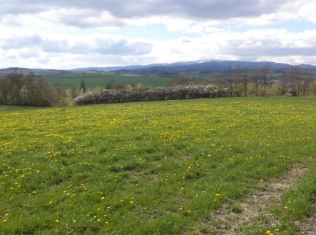 Prodej pozemku, trvalý travní porost, 10 063 m²
