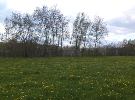Prodej pozemku, trvalý travní porost, 10 063 m²