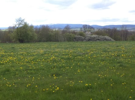 Prodej pozemku, trvalý travní porost, 10 063 m²