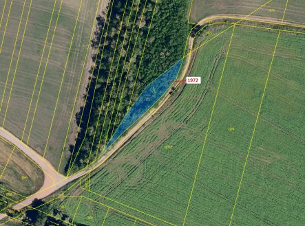 Prodej pozemku, les, 591 m²