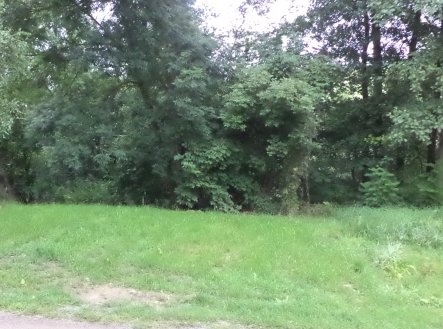 Prodej pozemku, trvalý travní porost, 2 116 m²
