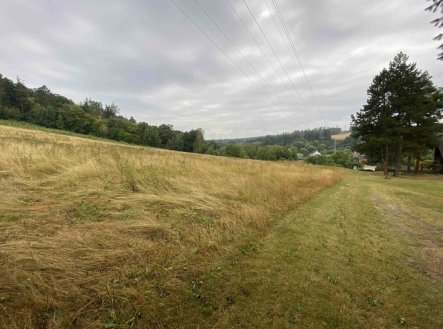 Prodej pozemku, trvalý travní porost, 1 160 m²