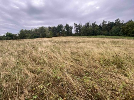 Prodej pozemku, trvalý travní porost, 1 160 m²