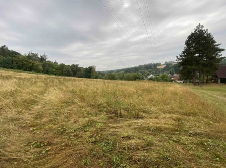Prodej pozemku, trvalý travní porost, 1 160 m²