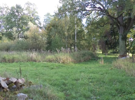 Prodej pozemku, trvalý travní porost, 160 m²