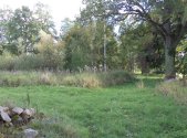 Prodej pozemku, trvalý travní porost, 160 m²