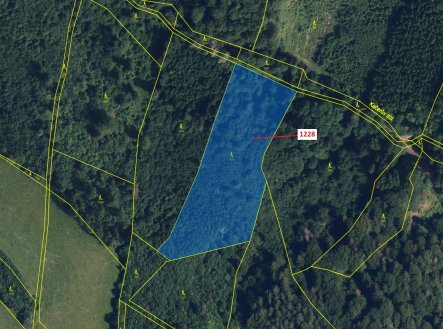 Prodej pozemku, les, 10 403 m²