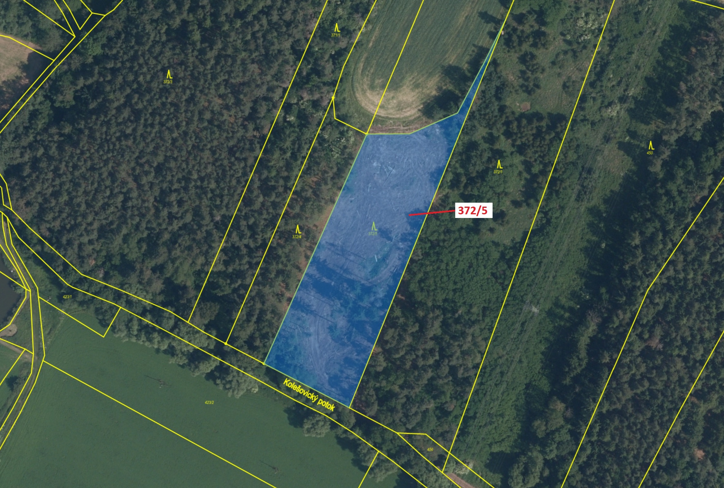 Lesní pozemek o výměře 7060 m2, podíl 1/1, katastrální území Přílepy, obec Přílepy, obec s rozšířeno