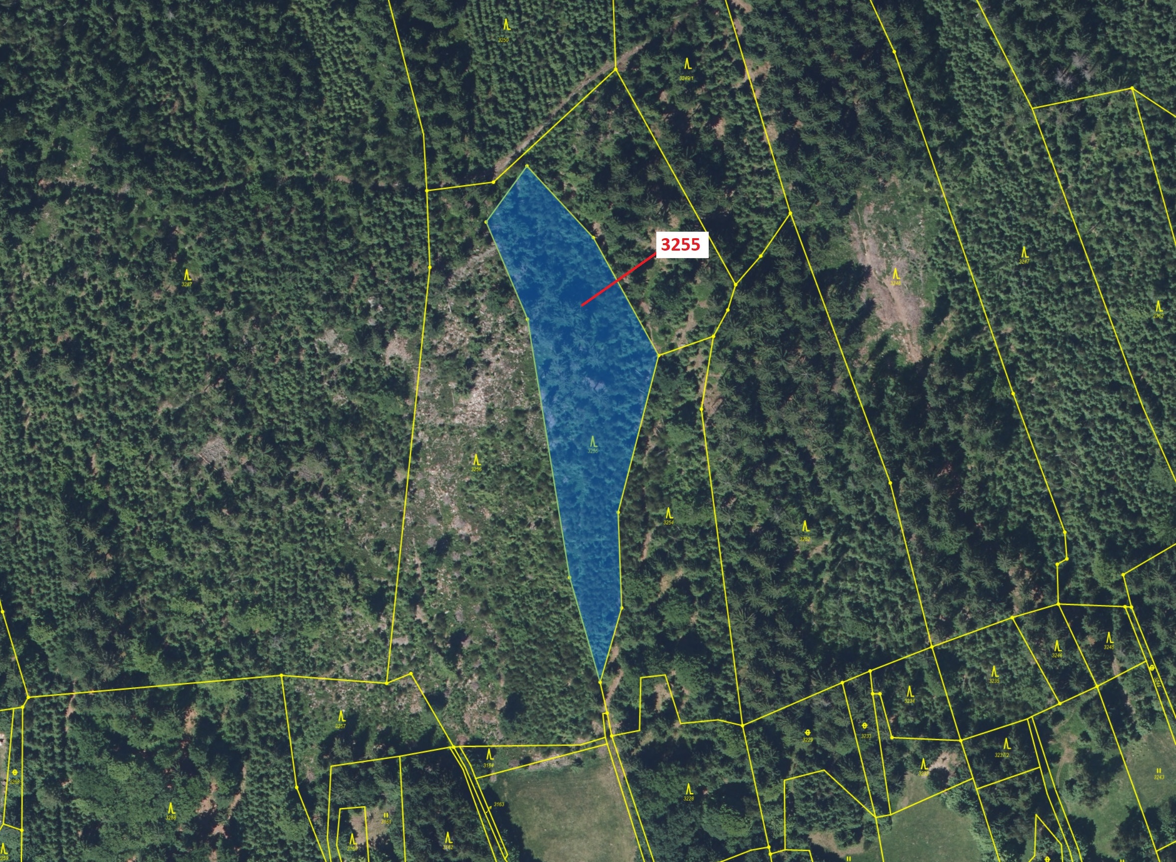 Lesní pozemek o výměře 6125 m2, podíl 1/1, katastrální území Velké Hamry, obec Velké Hamry, obec s r