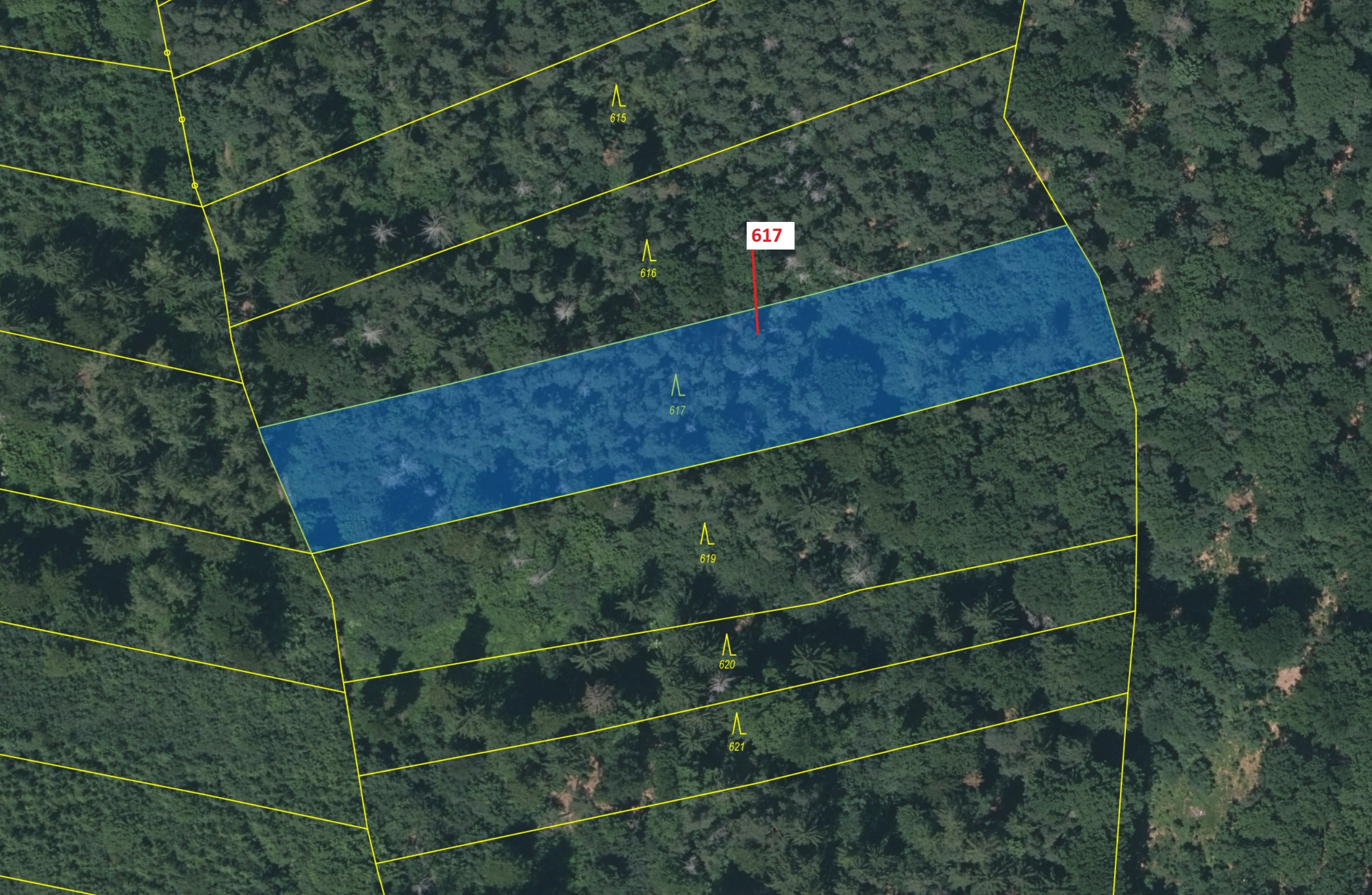 Lesní pozemek o výměře 4280 m2, podíl 1/1, katastrální území Čepice, obec Rabí, obec s rozšířenou pů
