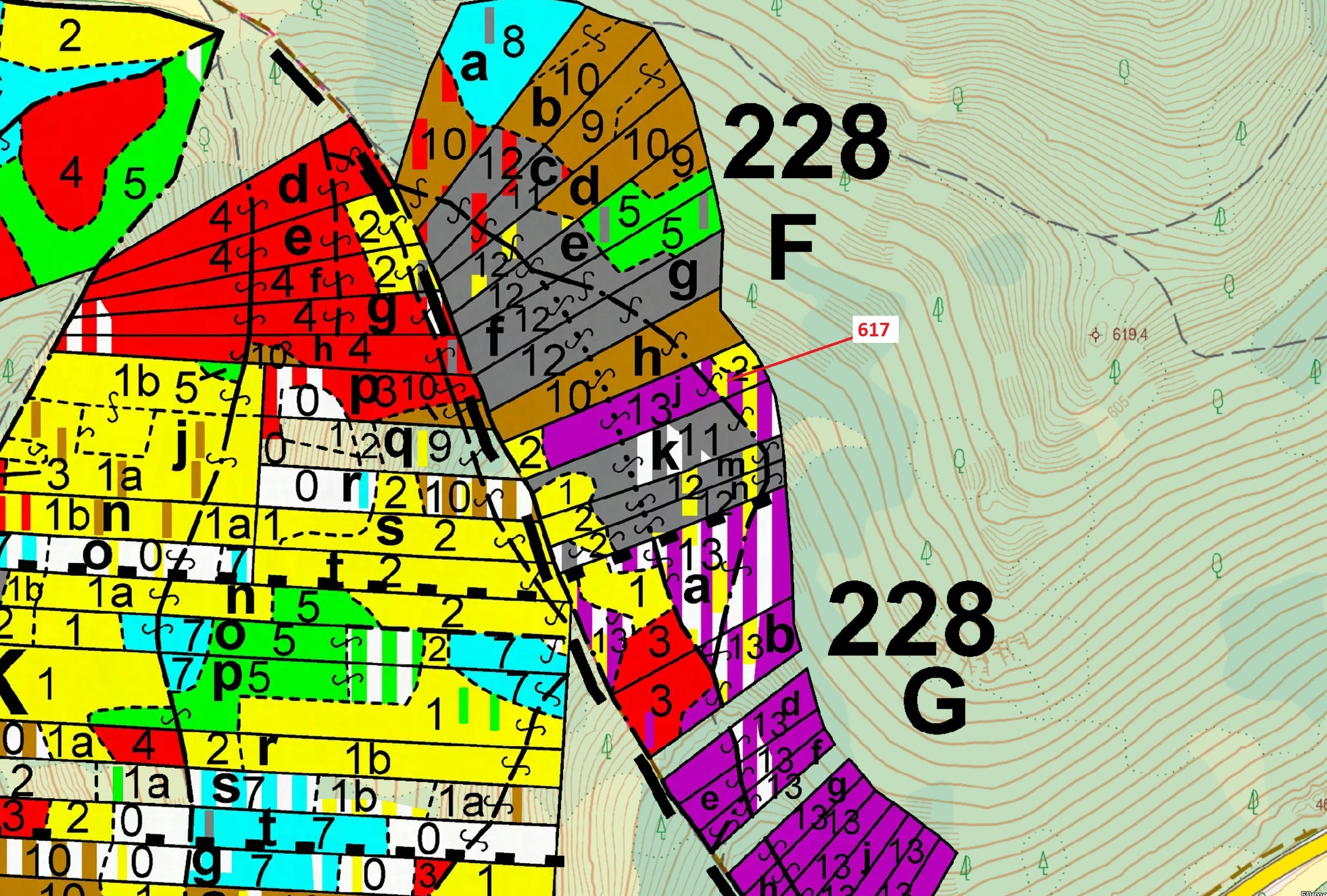 Lesní pozemek o výměře 4280 m2, podíl 1/1, katastrální území Čepice, obec Rabí, obec s rozšířenou pů