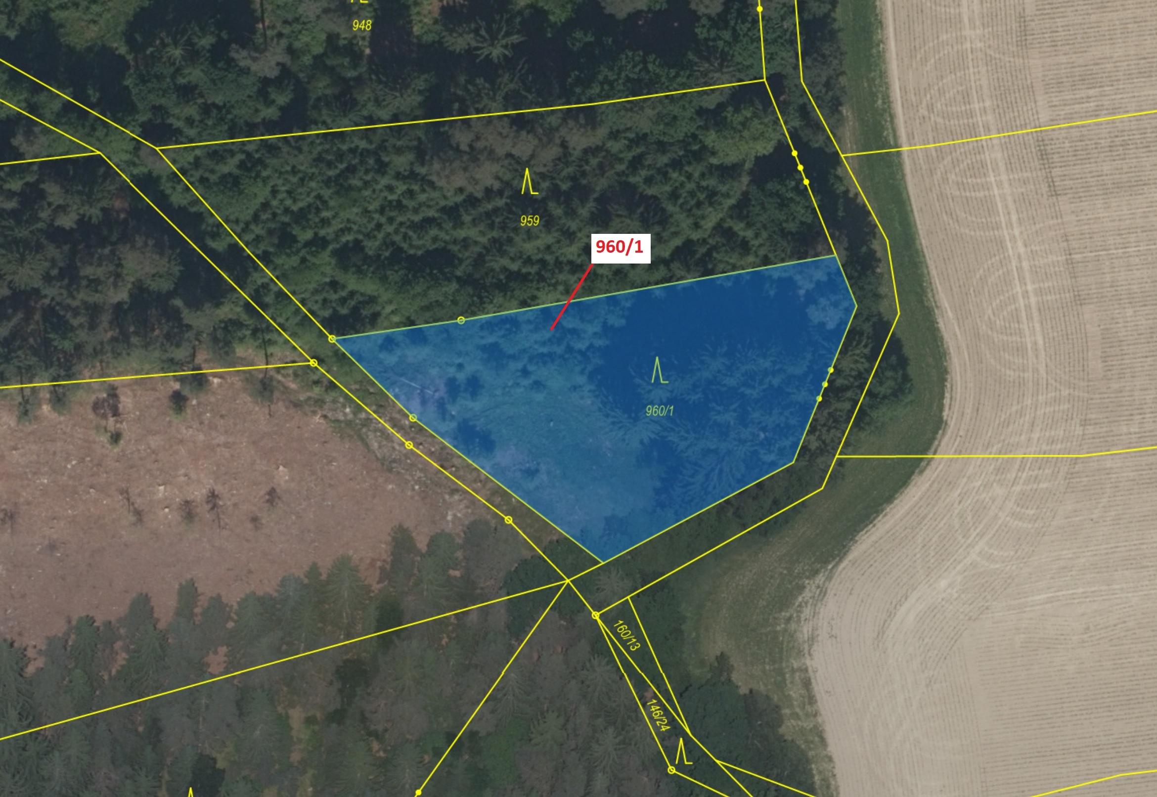 Lesní pozemek o výměře 2342 m2, podíl 1/1, katastrální území Strážkovice, obec Strážkovice, obec s r