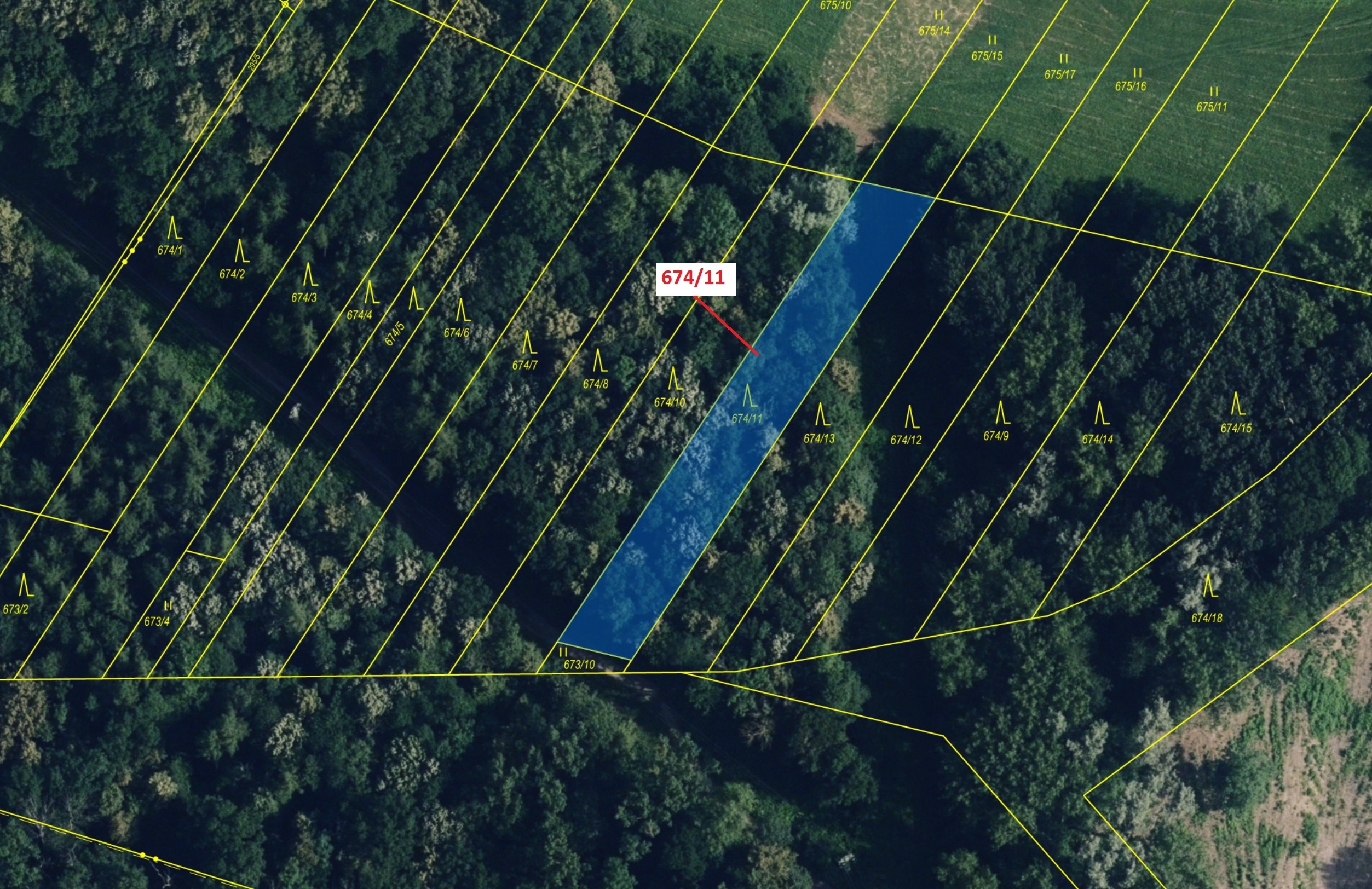 Lesní pozemek o výměře 1322 m2, podíl 1/1, katastrální území Kozlovice u Přerova, obec Přerov, obec 