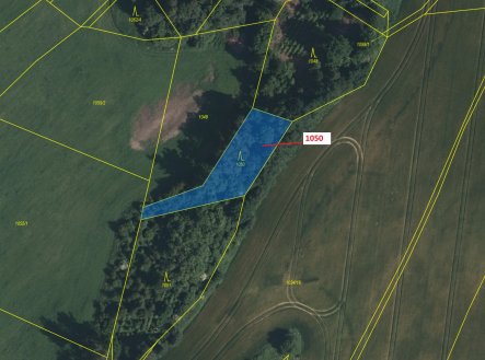 Prodej pozemku, les, 1 007 m²