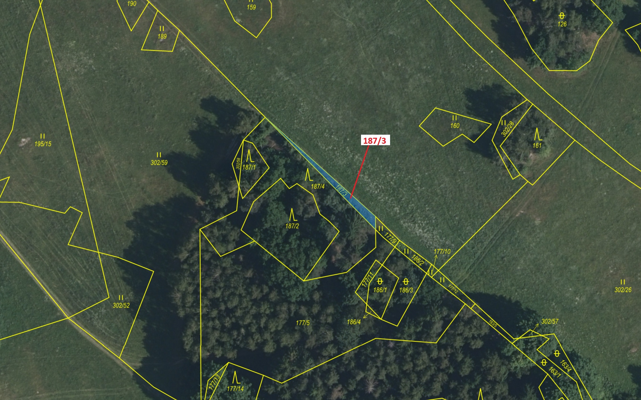 Lesní pozemek o výměře 80 m2, podíl 1/1, katastrální území Radlice u Volfířova, obec Volfířov, obec 