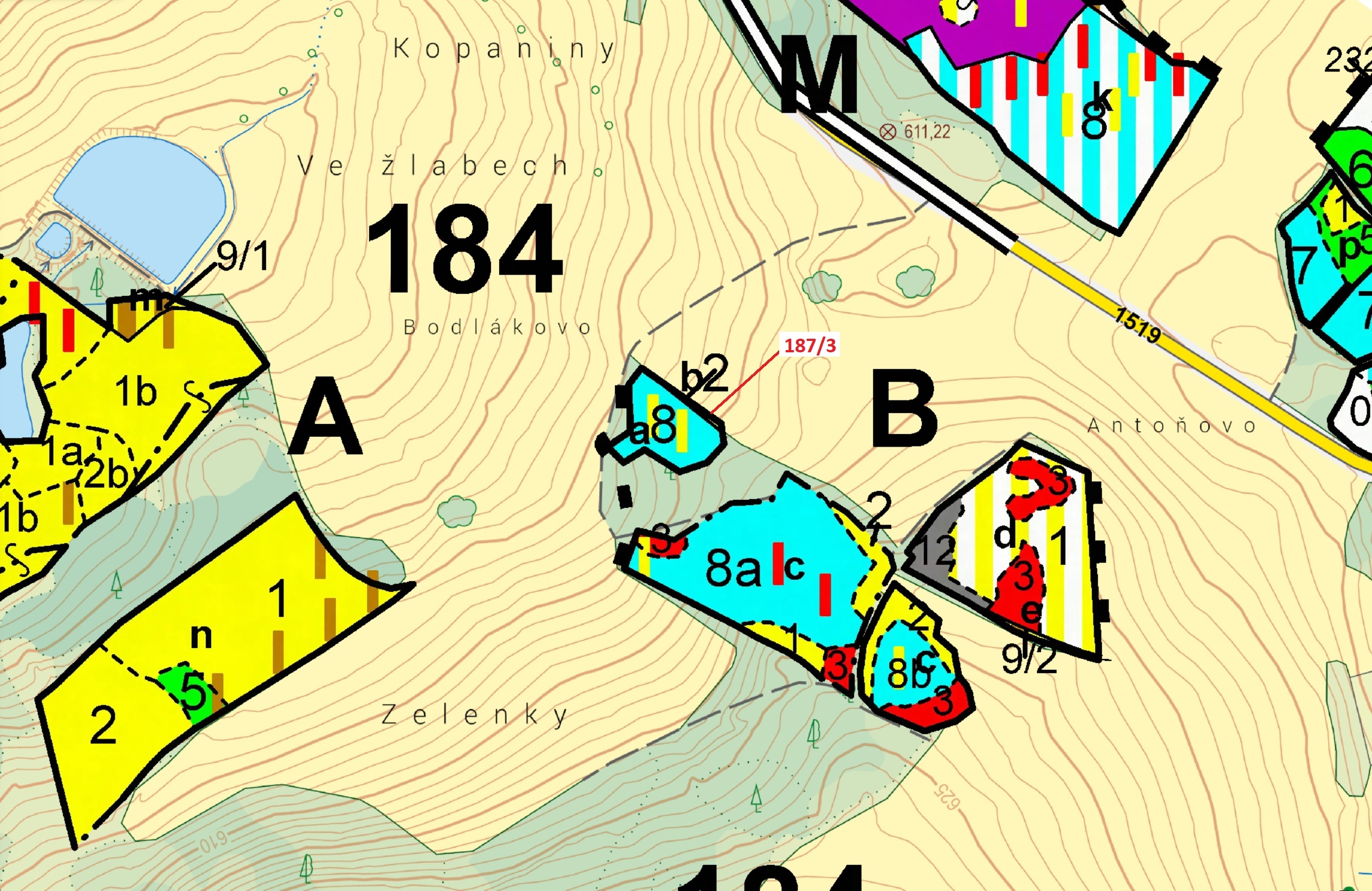 Lesní pozemek o výměře 80 m2, podíl 1/1, katastrální území Radlice u Volfířova, obec Volfířov, obec 