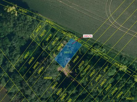 Prodej pozemku, les, 263 m²