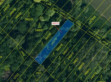 Prodej pozemku, les, 247 m²