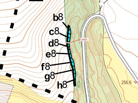 Prodej pozemku, les, 25 m²