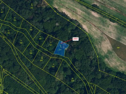 Prodej pozemku, les, 342 m²