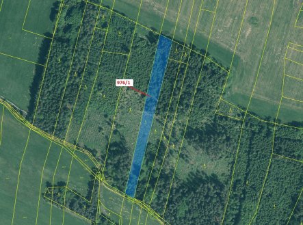 Prodej - pozemek, les, 5 696 m²