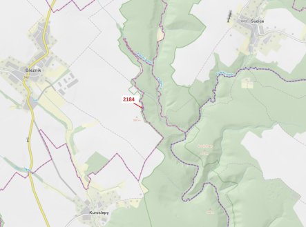 Prodej - pozemek, les, 291 m²