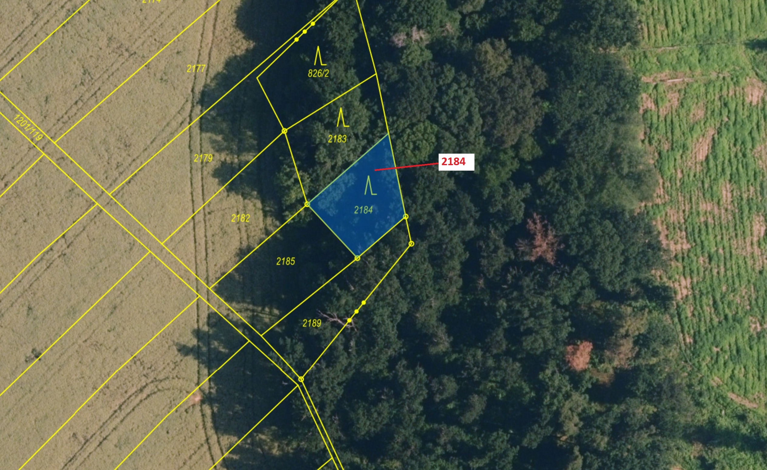 Lesní pozemek o výměře 291 m2, podíl 1/1, katastrální území Březník, obec Březník, obec s rozšířenou