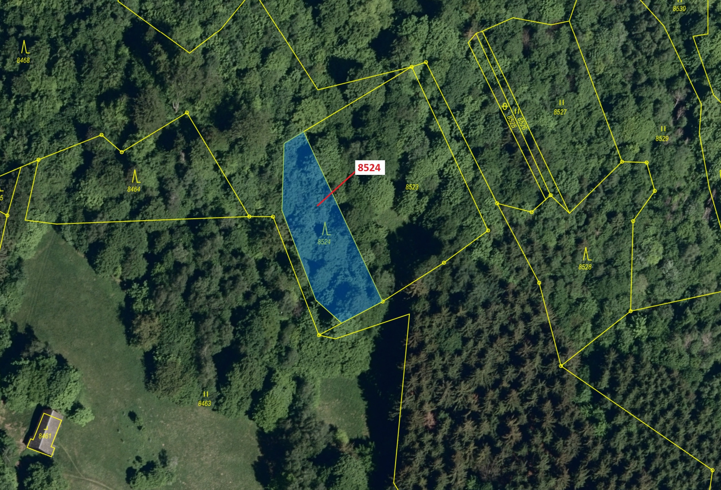 Lesní pozemek o výměře 939 m2, podíl 1/1, katastrální území Vsetín, obec Vsetín, obec s rozšířenou p