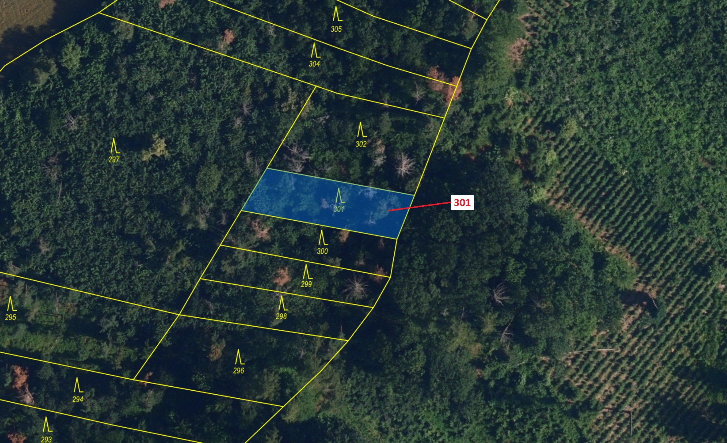 Lesní pozemek o výměře 579 m2, podíl 1/1, katastrální území Boňov, obec Jaroměřice nad Rokytnou, obe