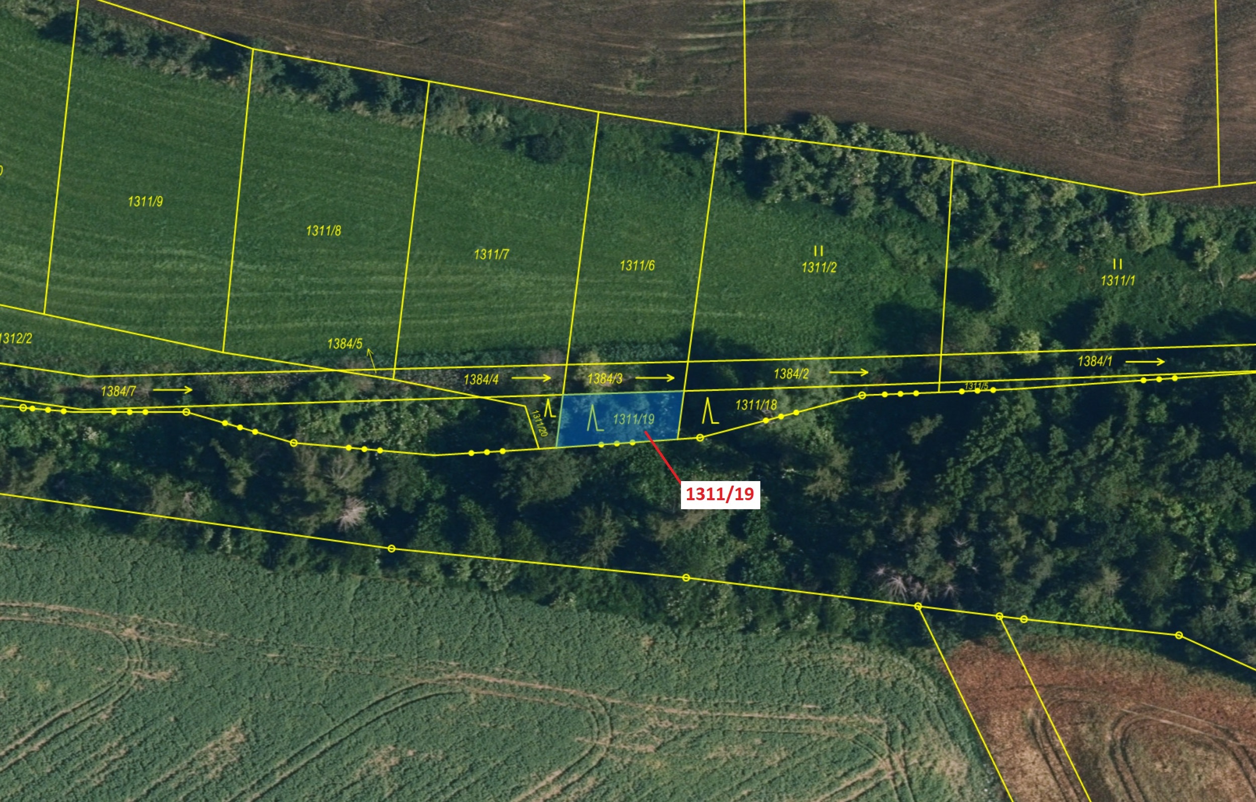 Lesní pozemek o výměře 154 m2, podíl 1/1, katastrální území Myslibořice, obec Myslibořice, obec s ro