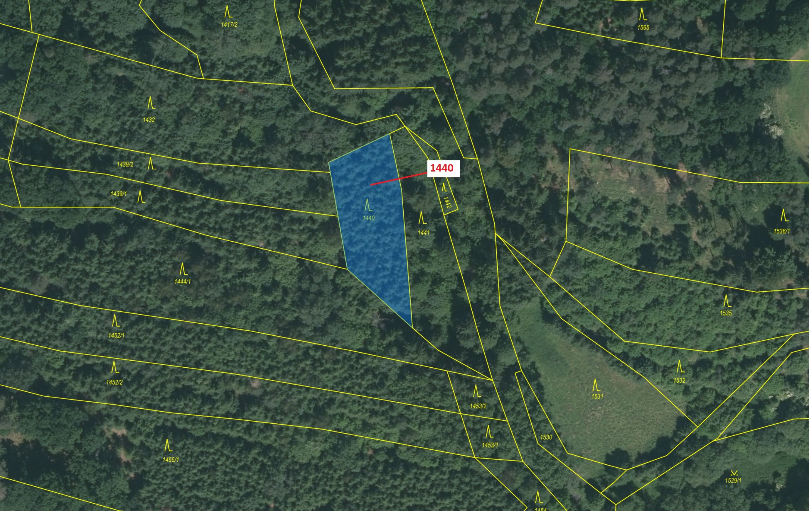 Lesní pozemek o výměře 1097 m2, podíl 1/1, katastrální území Dražice u Tábora, obec Dražice, obec s 
