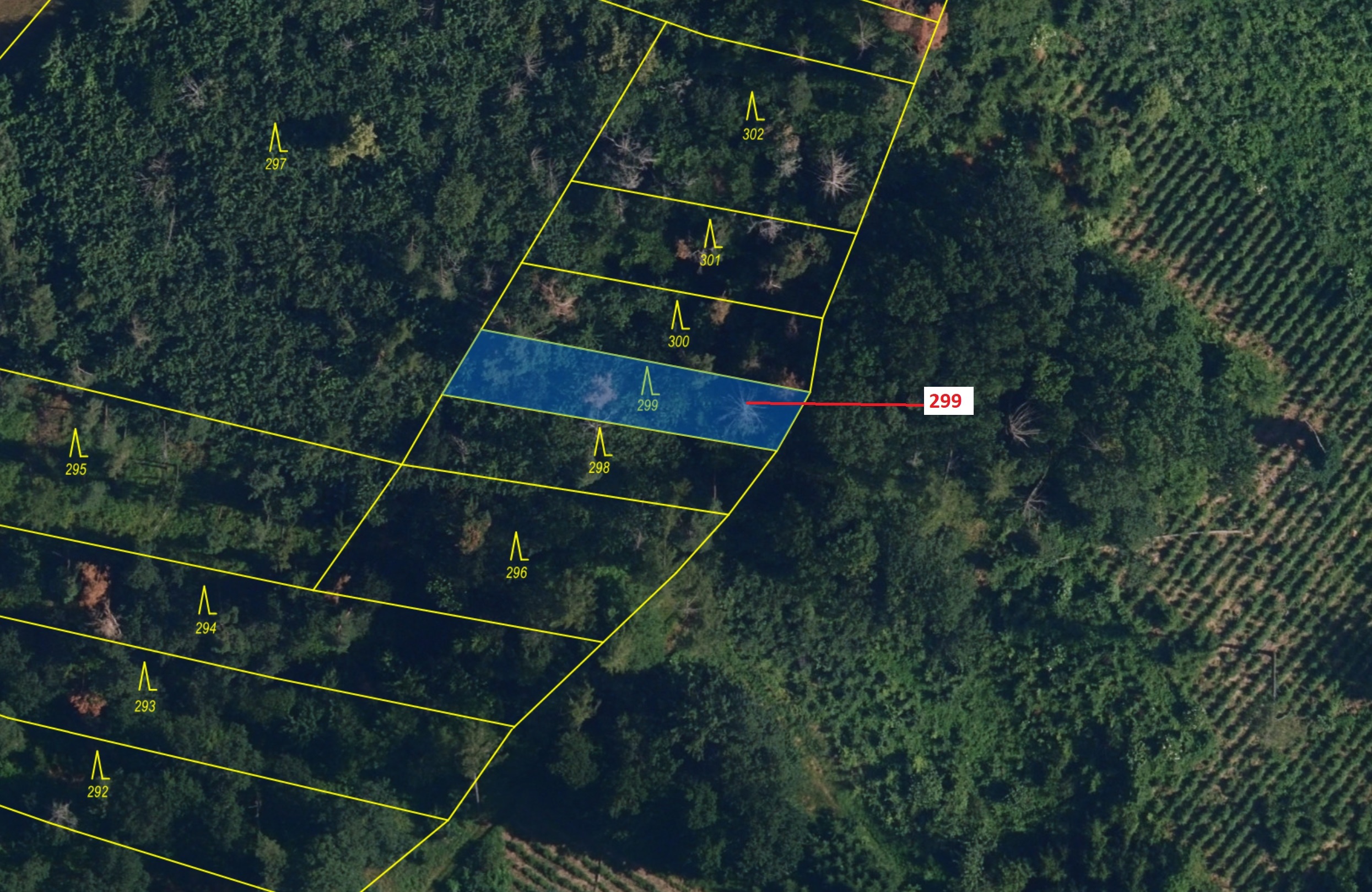 Lesní pozemek o výměře 482 m2, podíl 1/1, katastrální území Boňov, obec Jaroměřice nad Rokytnou, obe