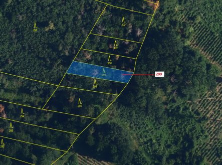 Prodej - pozemek, les, 482 m²