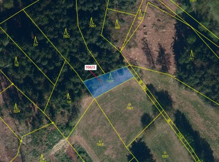 Prodej - pozemek, les, 350 m²